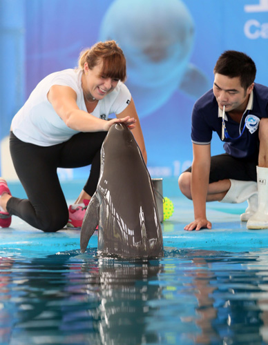 寻找并培养 寻找并培养